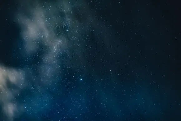 Cazino Wicked Jackpots Cazinou Suport